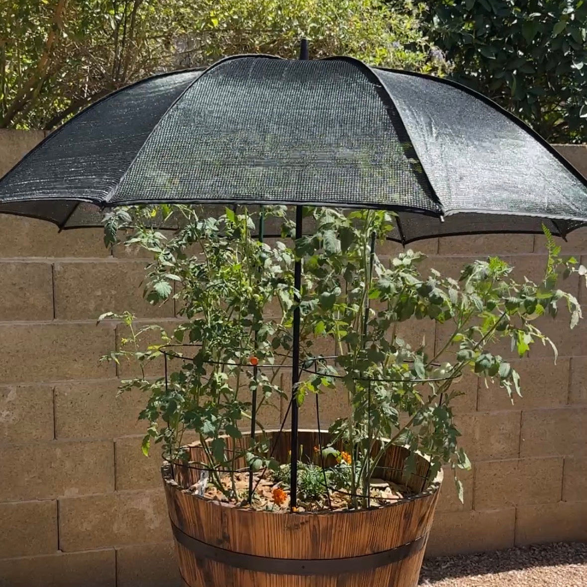 (Pre-Order) Pop-A-Shade