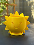 Pop-of-Sunshine (3" Pot)
