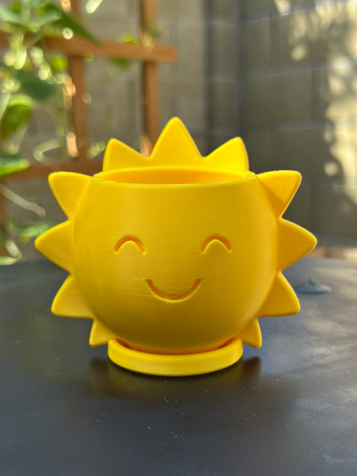 Pop-of-Sunshine (3" Pot)