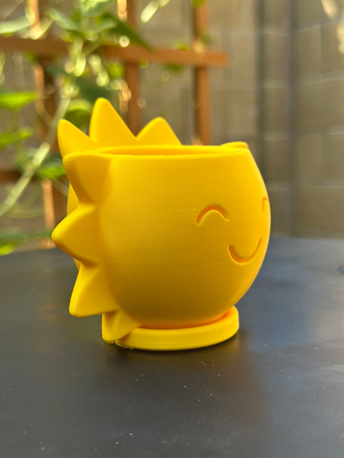 Pop-of-Sunshine (3" Pot)
