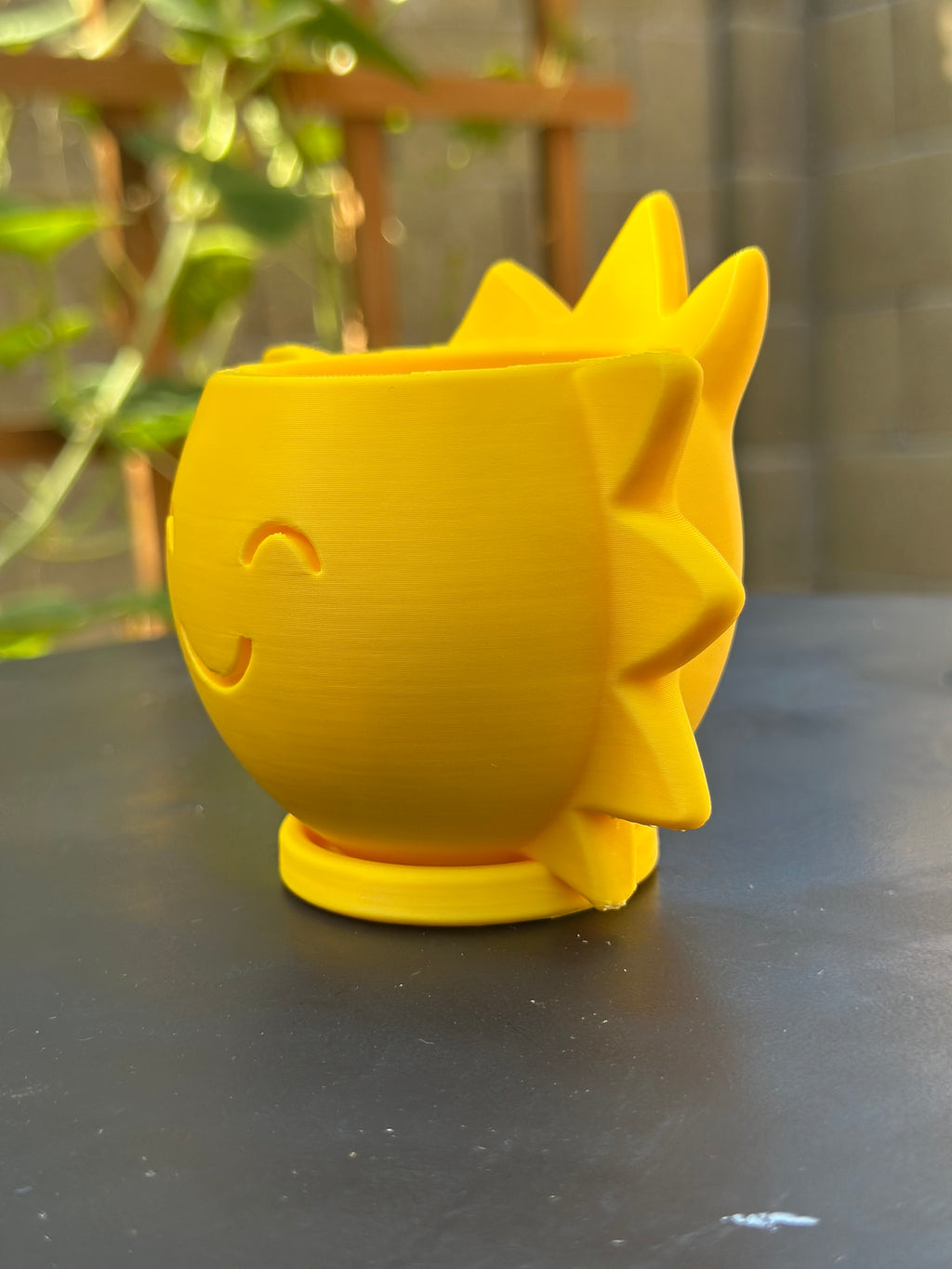 Pop-of-Sunshine (3" Pot)