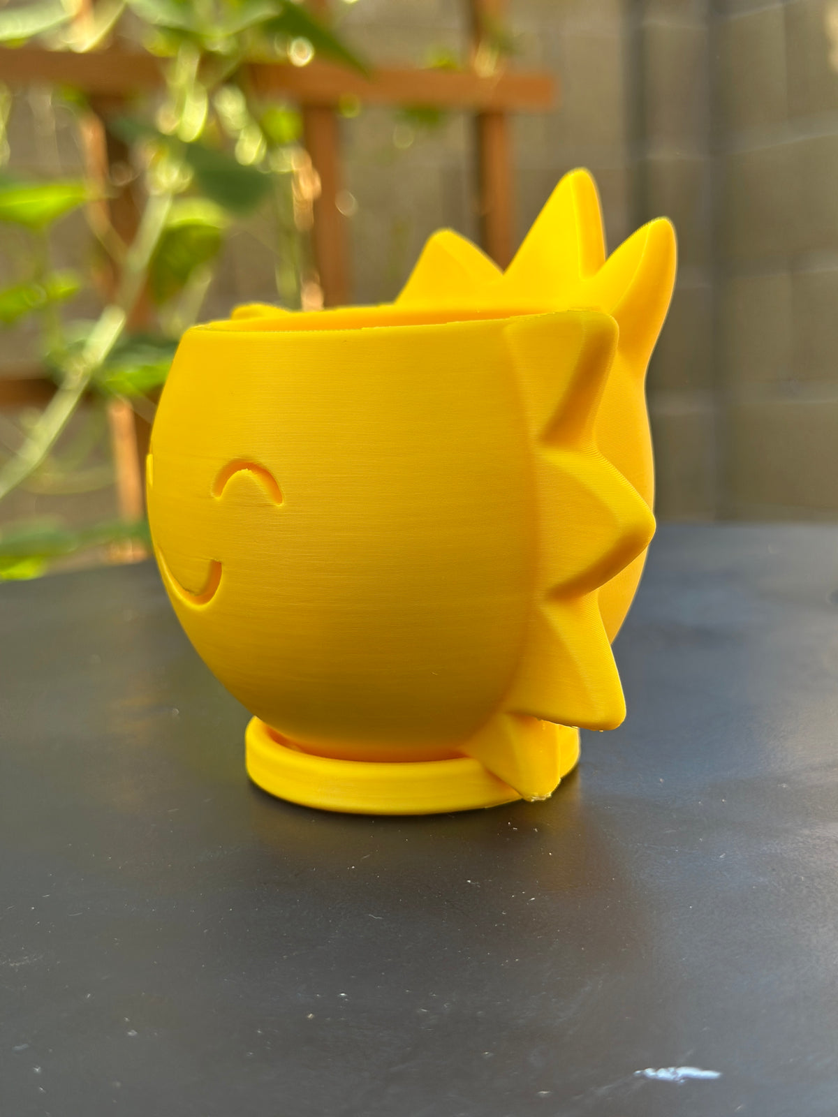 Pop-of-Sunshine (3" Pot)