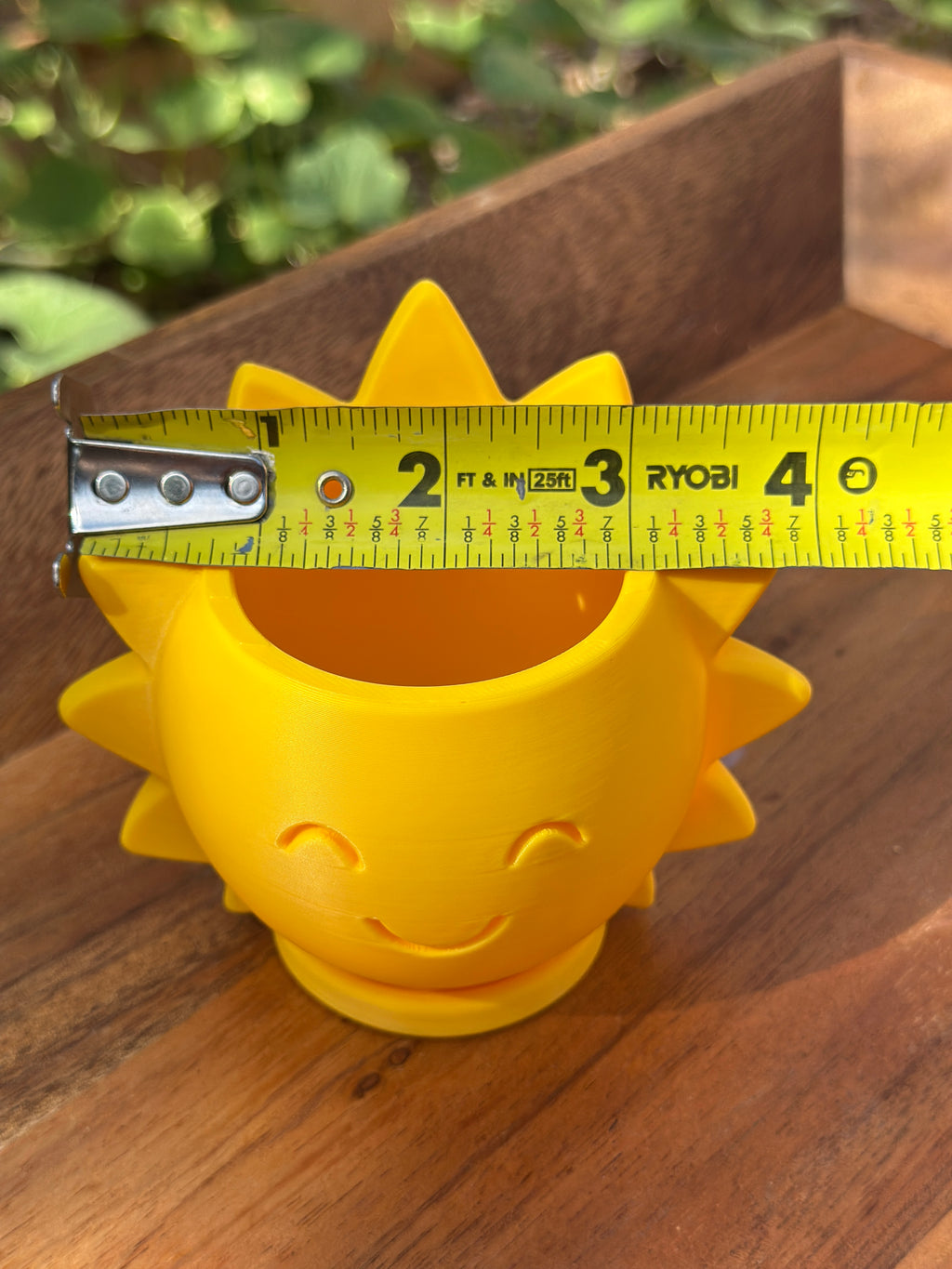 Pop-of-Sunshine (3" Pot)