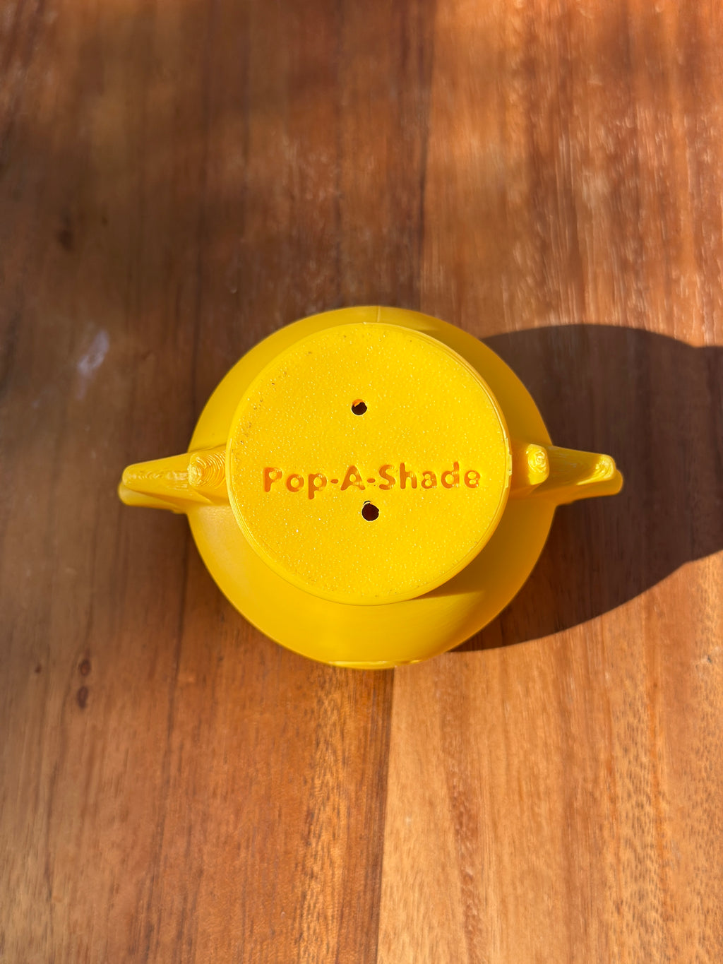 Pop-of-Sunshine (3" Pot)